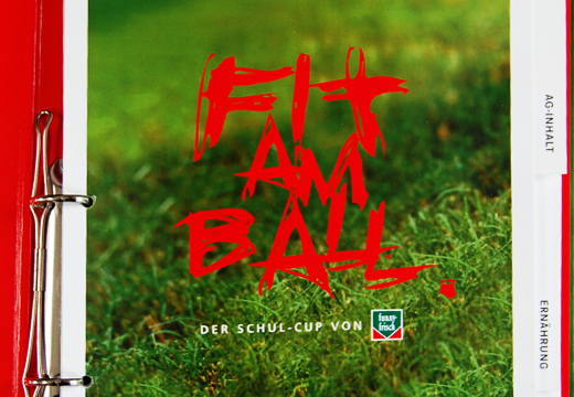 02~Fit am Ball_CI~520